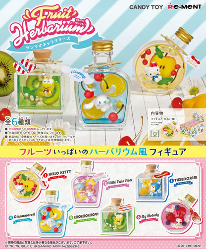 Re-Ment Fruit Herbarium Sanrio Characters Mystery Box