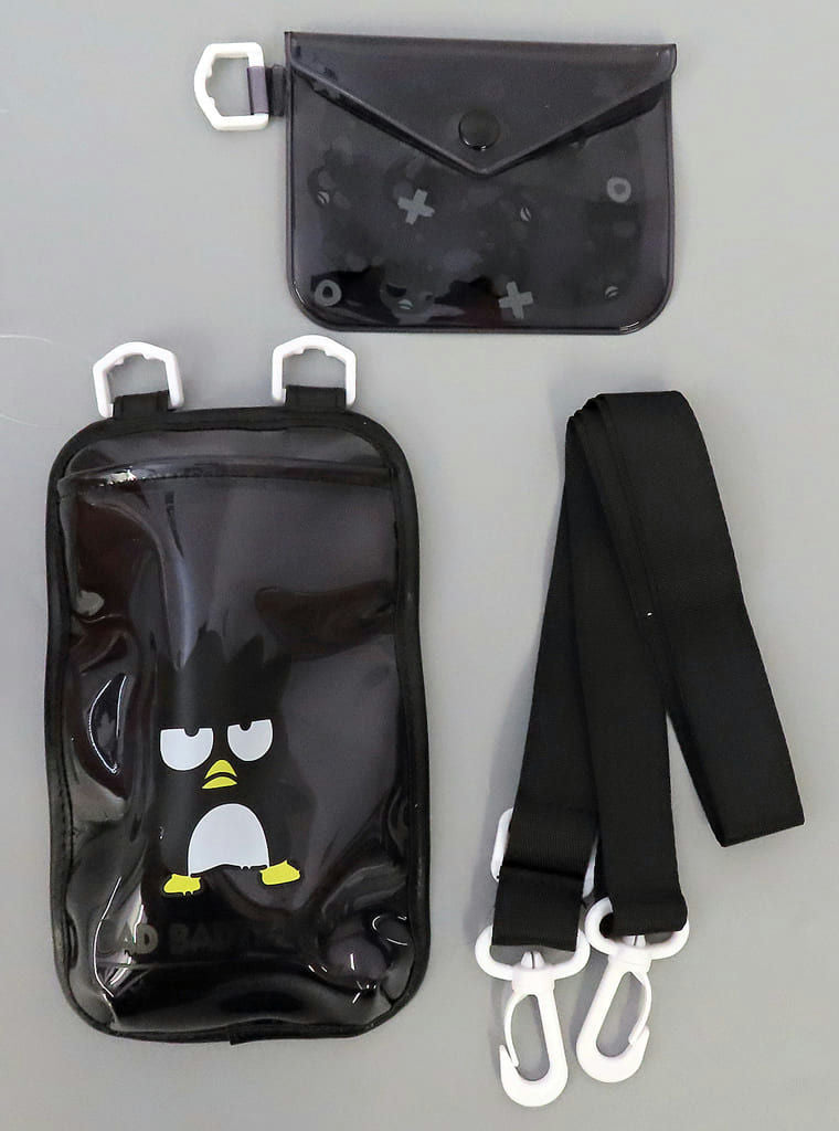 Sanrio Character Card Holder Bag Set