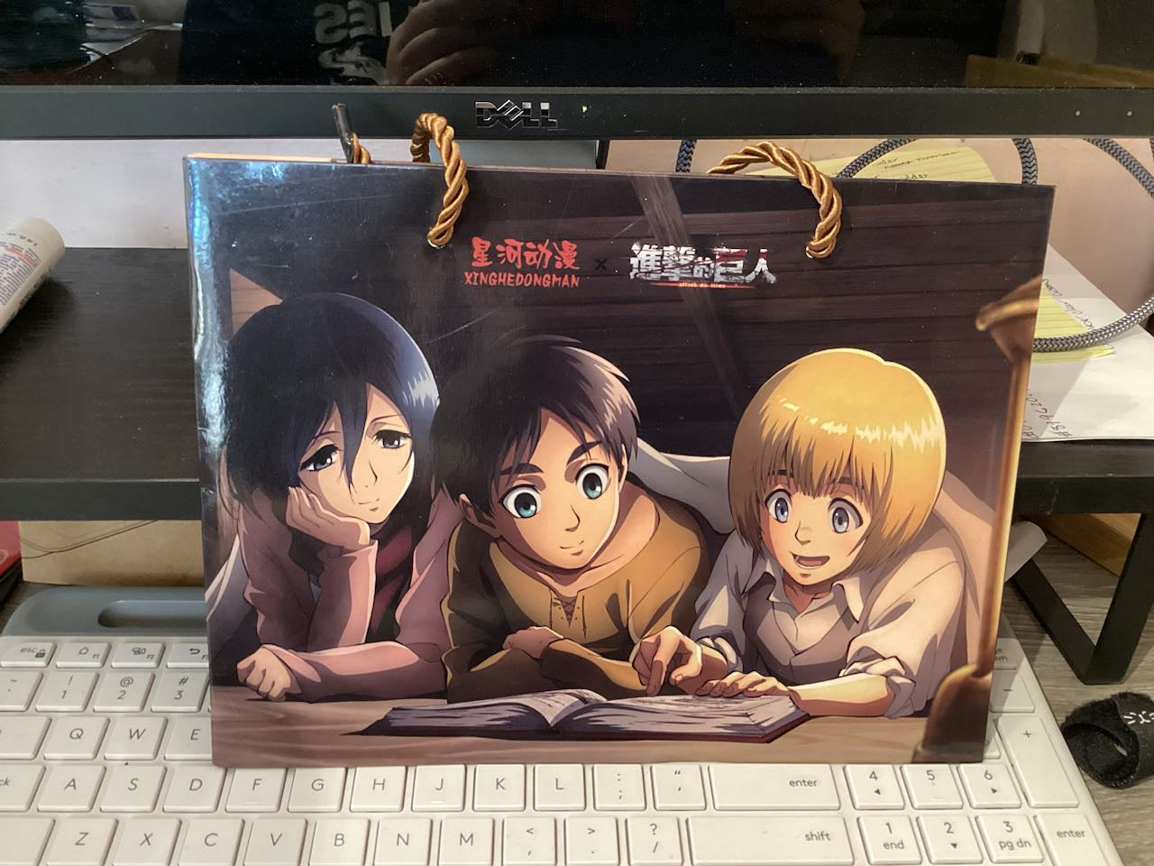 Attack on Titan Eren & Armin Bag (Not For Sale)